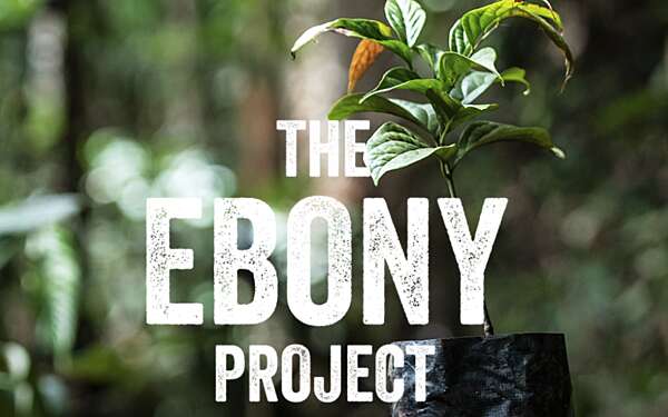 The Ebony Project