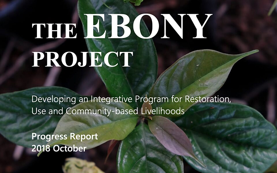 2018 Ebony Project Report