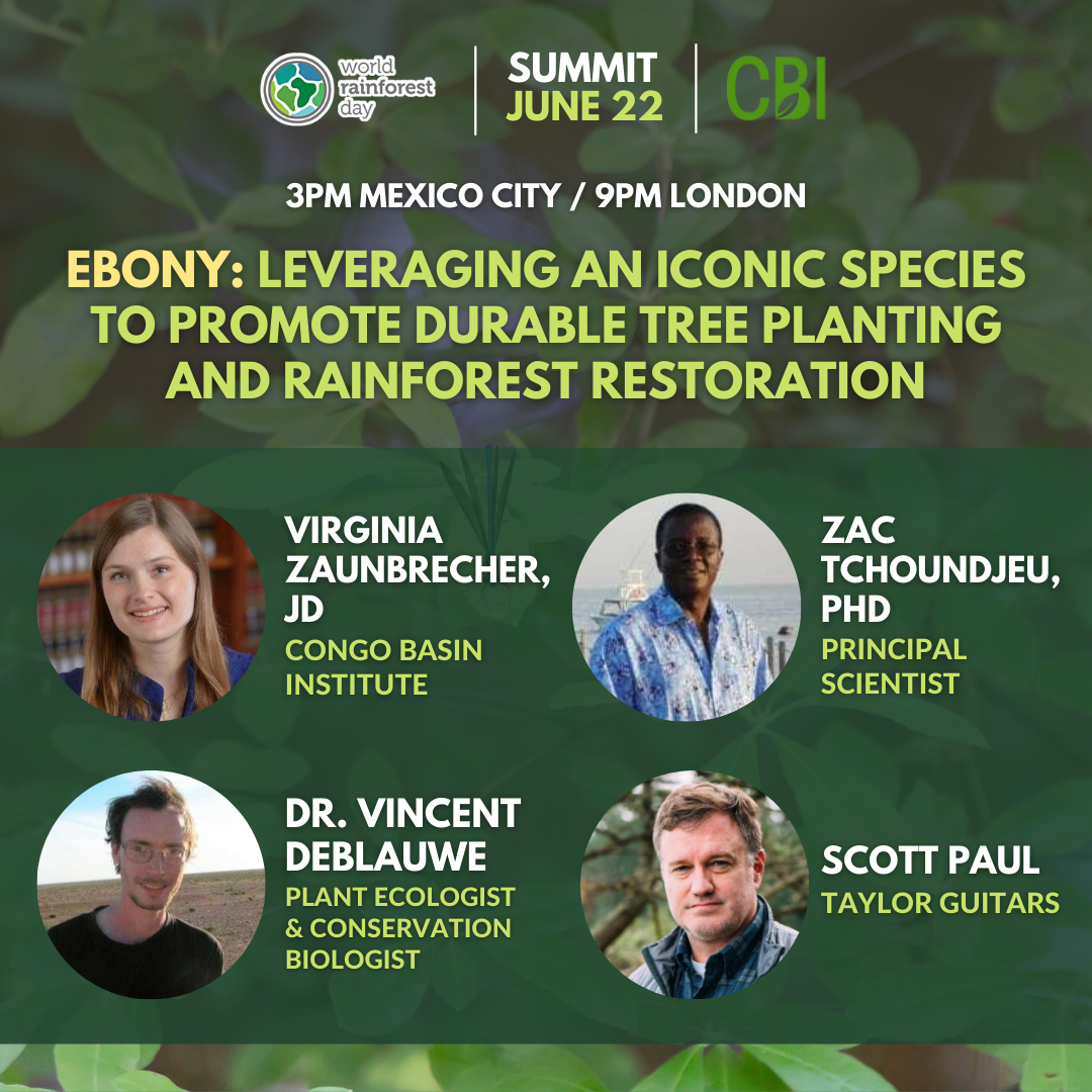 World Rainforest Day Summit 2022