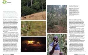 TA90 Life in the green forest 2