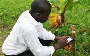 Capturing phenotypic data 800