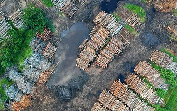 Bird s eye view deforestation high 1268076