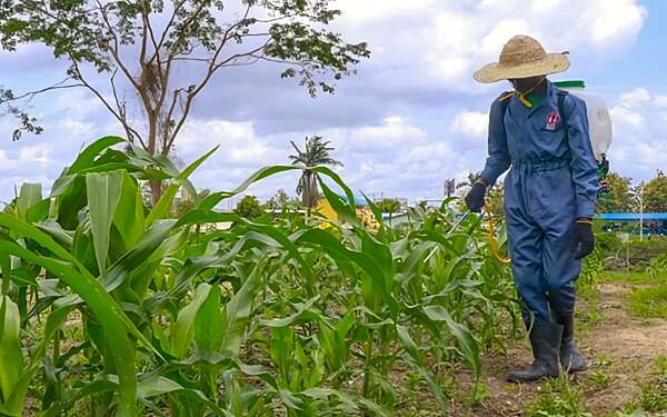 Youth agribusiness