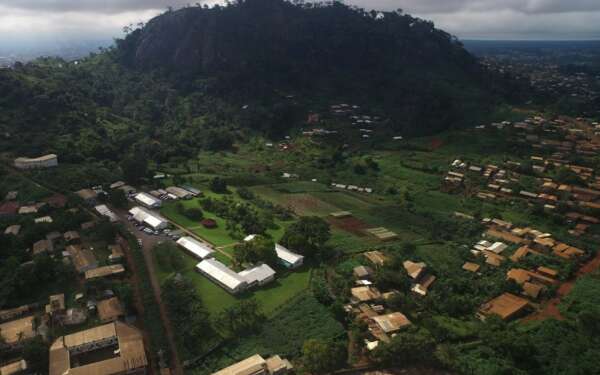 IITA Cameroon aerial view