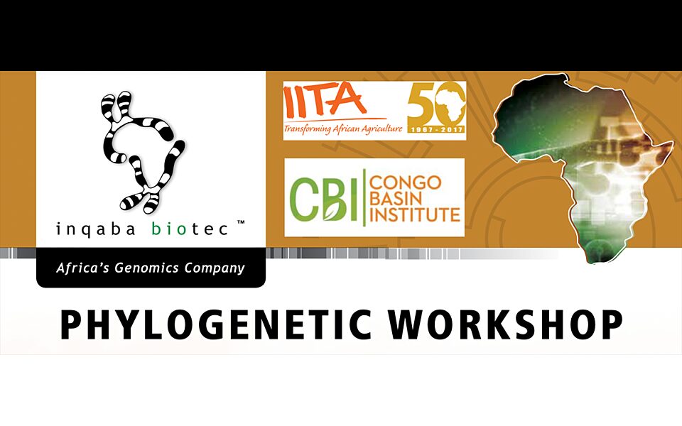 Phylogenetic Workshop