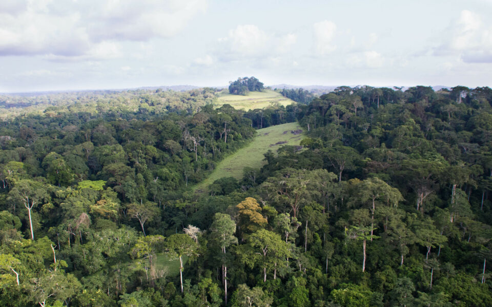 Aerial view of Bouamir 3