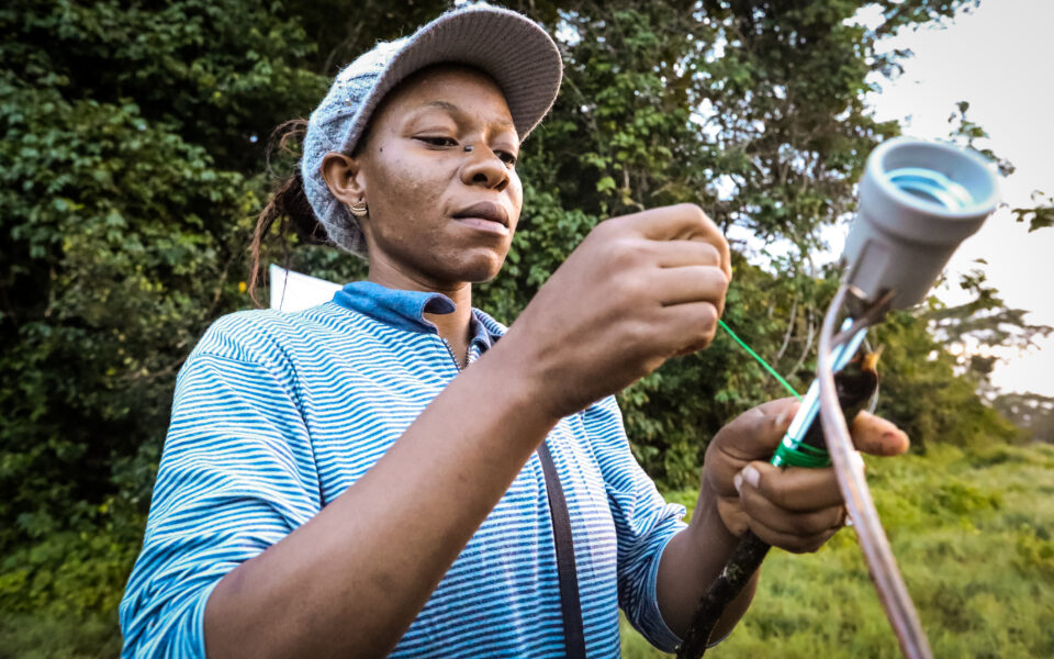 Cameroonian researcher 7