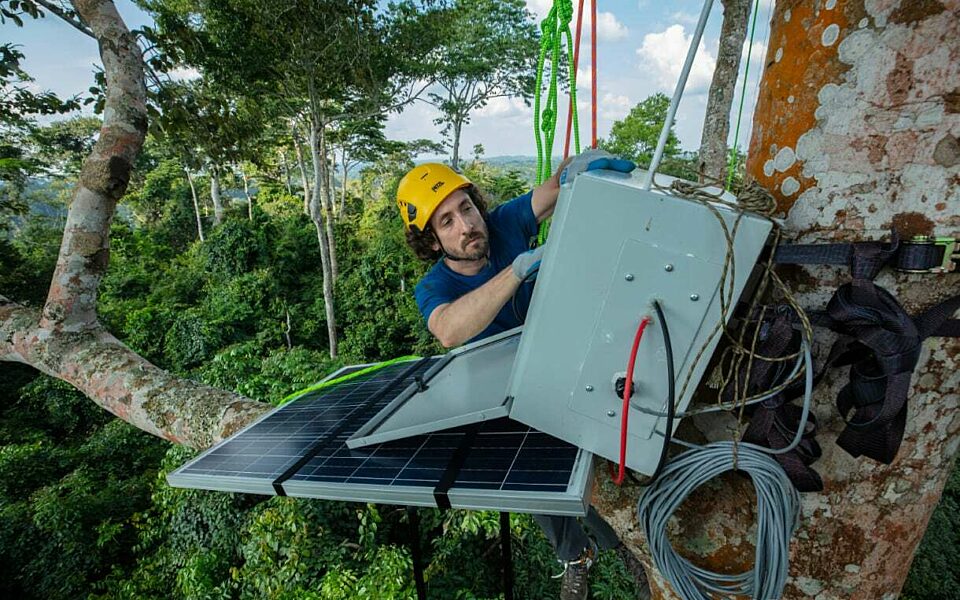 Working in Trees